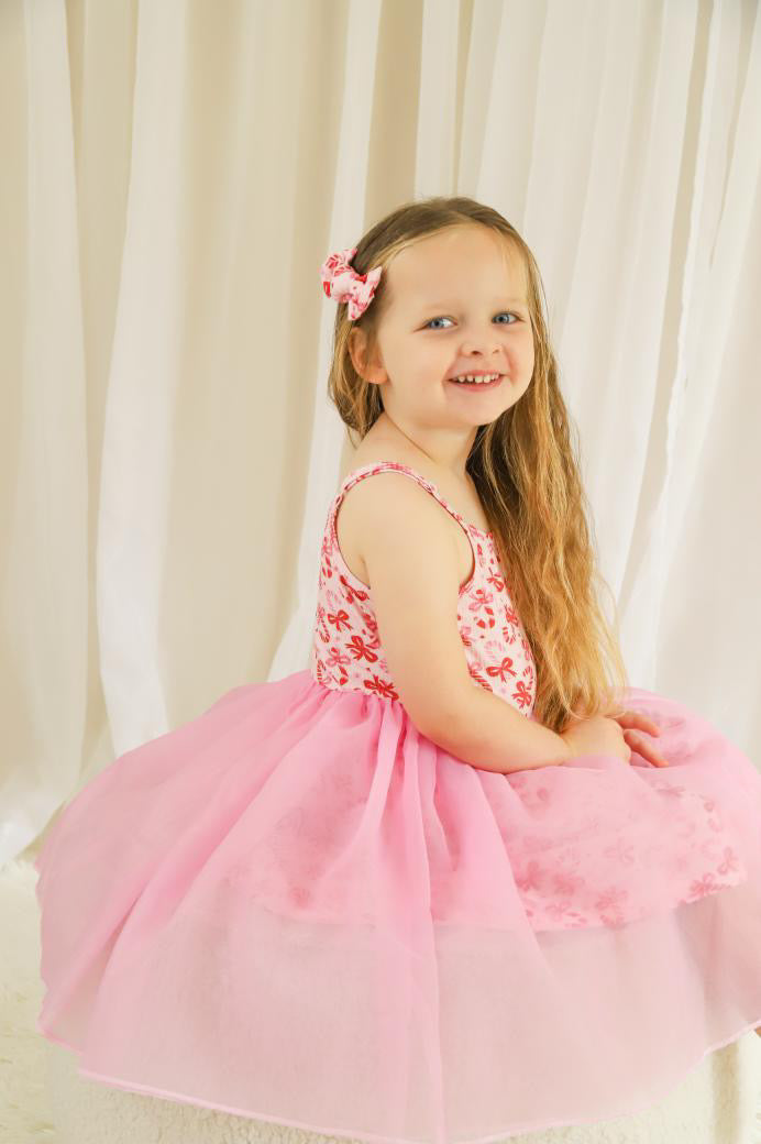 Clara Tutu Dress